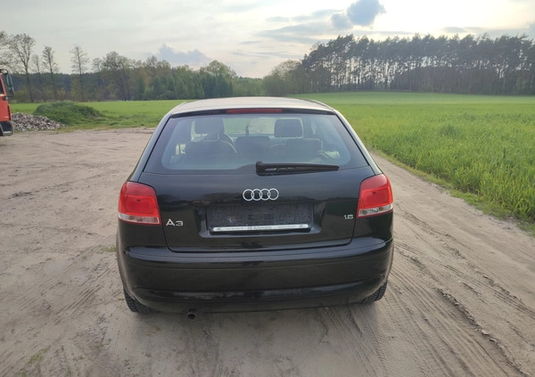 Audi A3 cena 15900 przebieg: 189230, rok produkcji 2007 z Rakoniewice małe 46